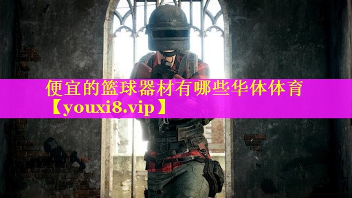 便宜的篮球器材有哪些华体体育