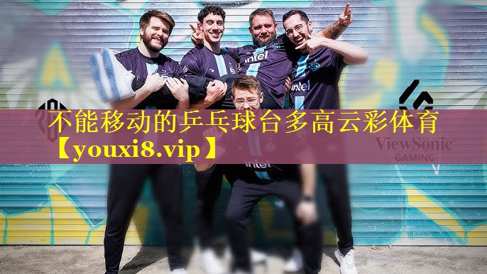 不能移动的乒乓球台多高云彩体育