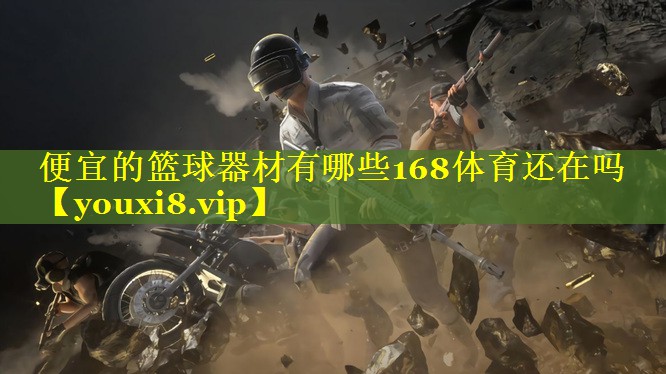 便宜的篮球器材有哪些168体育还在吗