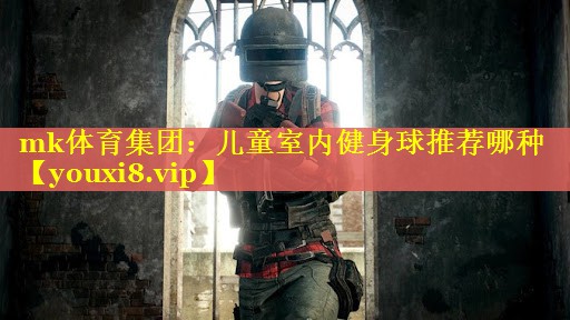 mk体育集团：儿童室内健身球推荐哪种